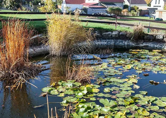 Agropenzion U Bartousku Affittacamere *